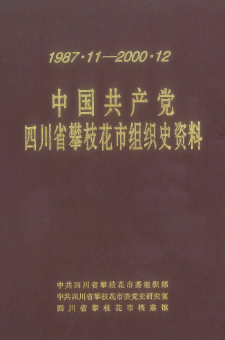 中国共产党四川省攀枝花市组织史资料（1987.11-2000.12）